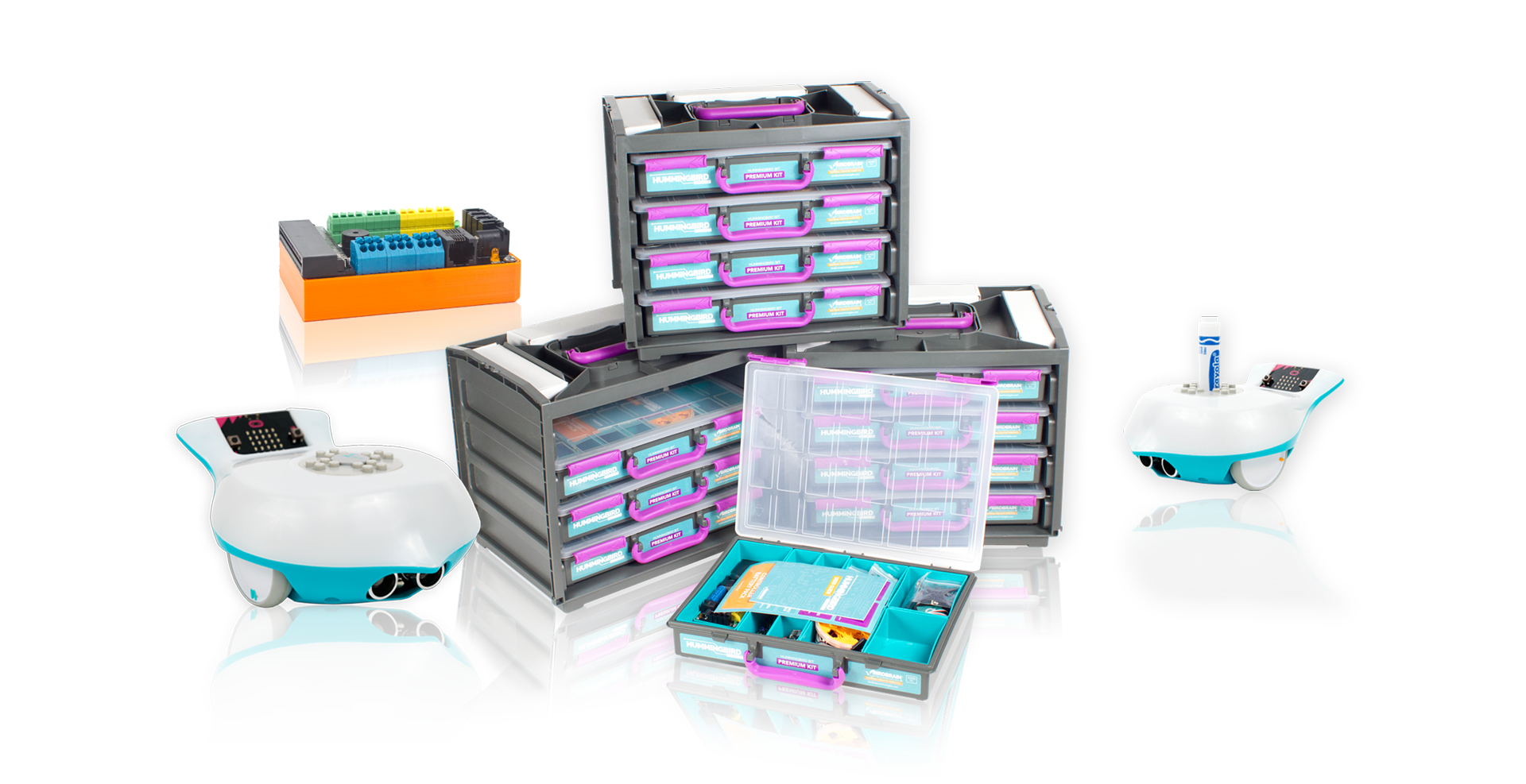 BirdBrain by Hummingbird Technologies